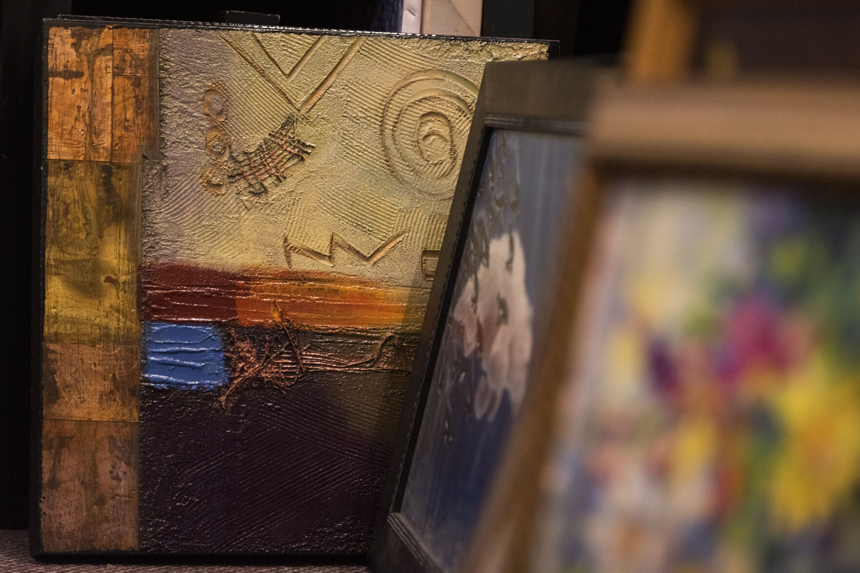 Paintings in Douglas Albert Art Gallery